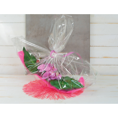 Film fleuriste - Film polypropylène transparent neutre 40µ 80 cm x 120 m - Films polypropylène neutres-1