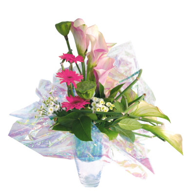 Film fleuriste - Film polypropylène transparent irisé neutre 17µ 100 cm x 10 m - Films polypropylène neutres-1