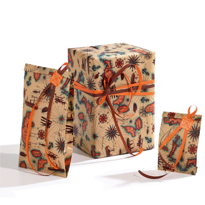 Papier cadeau Transat - 70 cm x 100 m - Papiers cadeaux kraft à motifs-2