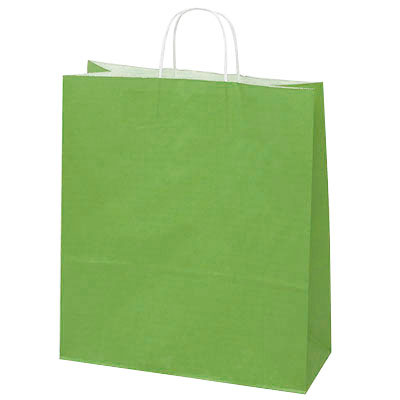 Sac kraft vert amande à poignées torsadées 35+14x44cm 90g/m² (x50) - Sacs kraft couleur poignées torsadées