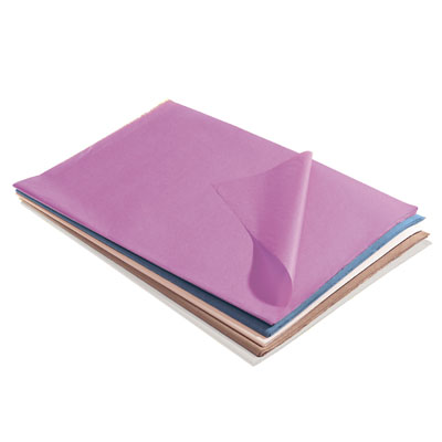 Papier de soie multicolore 5 coloris Color pop Pastel 50 x 75 cm, 240 feuilles - Papiers de soie