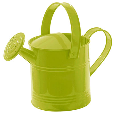 Arrosoir petit embout - Arrosoirs en zinc