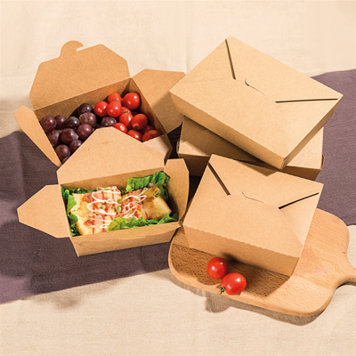 Lunchbox - Lunchbox et plateaux repas-2