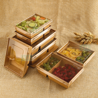 Boîtes pour salades ou plats à emporter - Lunchbox et plateaux repas-1