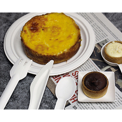 Fourchettes en bagasse - Couverts jetables-1