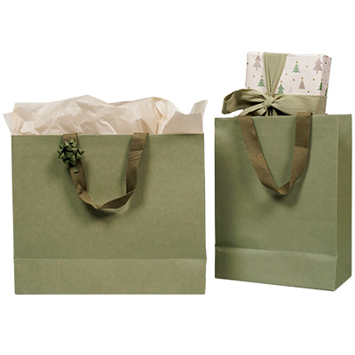 Sacs cadeaux kraft - vert tilleul - 25 + 13 x H 33 cm - Sacs kraft Luxe-3