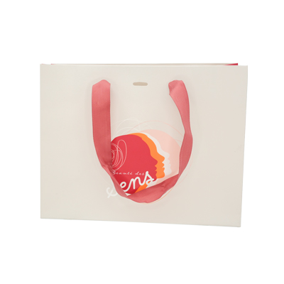 Sacs papier kraft poignées rubans - 22 + 9 x 17 cm - collection Beauté - Sacs pelliculés à motifs-1