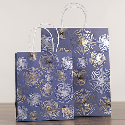 Sac cadeau kraft poignées torsadées bleu marine Feu d'artifice 24 + 10 x 31 cm - Paquet de 20 - Sacs kraft luxe-1