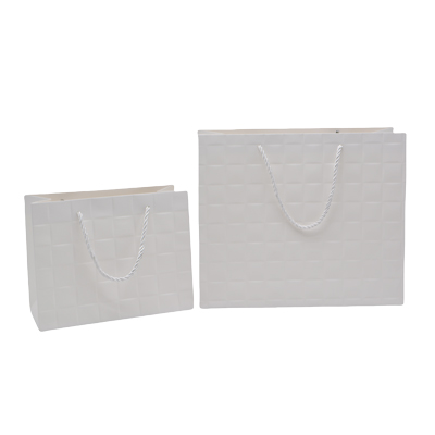 Sacs pelliculés blancs embossés tressés poignées cordelette 31+12x26 cm 210g/m² – Paquet de 20 - Sacs pelliculés à motifs-1