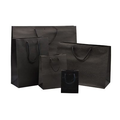 Sacs kraft Luxe - 18 + 10 x H 22,7 cm - par 20 - Sacs kraft luxe-1