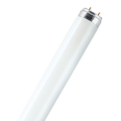 Tube fluo T8 18W/865 590mm blanc - Ampoules