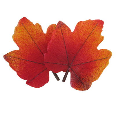 Déco feuilles d'automne - Déco cavistes Foire aux Vins
