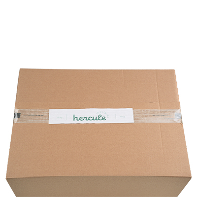 Poignée adhésive Hercule 615 x 37 mm - Caisses américaines cartons-1
