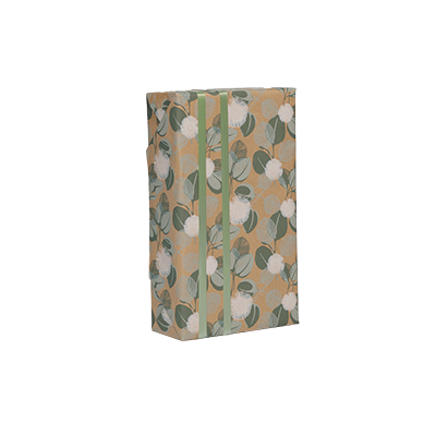 Papier cadeau kraft brun/vert/blanc Eucalyptus 70 cm x 50 m 60g/m² - Papiers cadeaux kraft à motifs-2