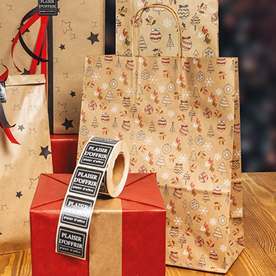 Sac kraft poignées torsadées Oriane motifs Noël rouge/brun 23 x 12 x 30 cm 90 g/m² - Paquet de 50 - Sacs kraft à motifs-2
