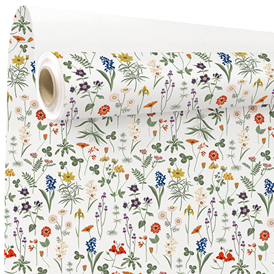 Papier cadeau Herbier - Papiers cadeaux kraft à motifs-1