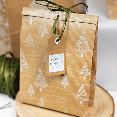 Pochette cadeau papier kraft Évidence 18 + 6 x H 35 cm - Lot de 150 - Pochettes cadeaux à motifs-2