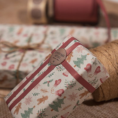 Bolduc mat amarante 10 mm x 250 m polypropylène - Bolducs unis-1