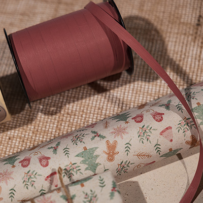 Bolduc mat amarante 10 mm x 250 m polypropylène - Bolducs unis-2