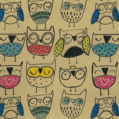Papier cadeau Hibou kraft brun recyclé 70 cm x 50 m 65 g/m² – le rouleau - Papiers cadeaux enfants