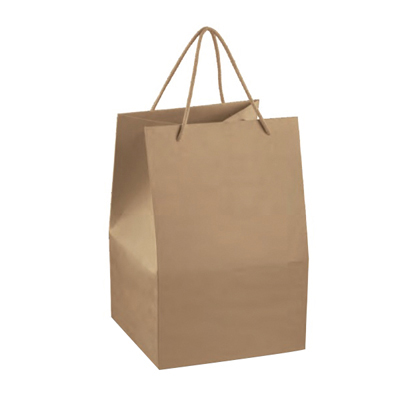 Sac kraft cartonné brun à poignées torsadées 24,5+24,5x33,5cm 300g/m² (x10) - Sacs kraft brun poignées torsadées