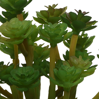 Succulente synthétique en pot - Plantes et fleurs artificielles-2
