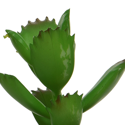 Succulente synthétique en pot - Plantes et fleurs artificielles-4