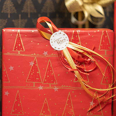 Papier cadeau Alpach - Papiers cadeaux de Noël-3