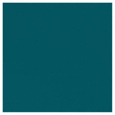 Serviettes 2 plis - Serviettes en papier