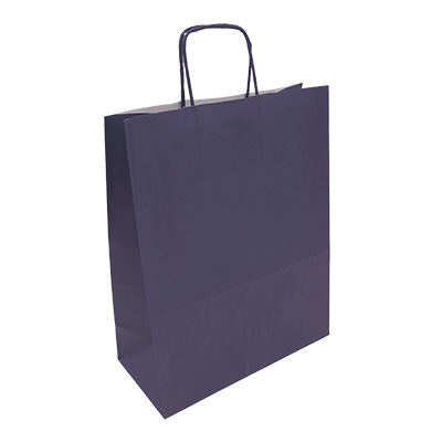 Sac kraft blue navy à poignées torsadées 19+8x23,5cm 90g/m² (x50) - Sacs kraft unis, poignées torsadées
