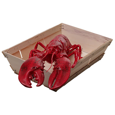 Corbeille paniers garnis bois 35 × 26 × 9 cm – paquet de 15 - Barquettes bois, Cagettes bois -2