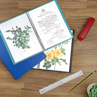 Porte-vues A4 60 vues – Protège-documents 30 pochettes souple - Vert - Protèges-documents, Porte-vues-2