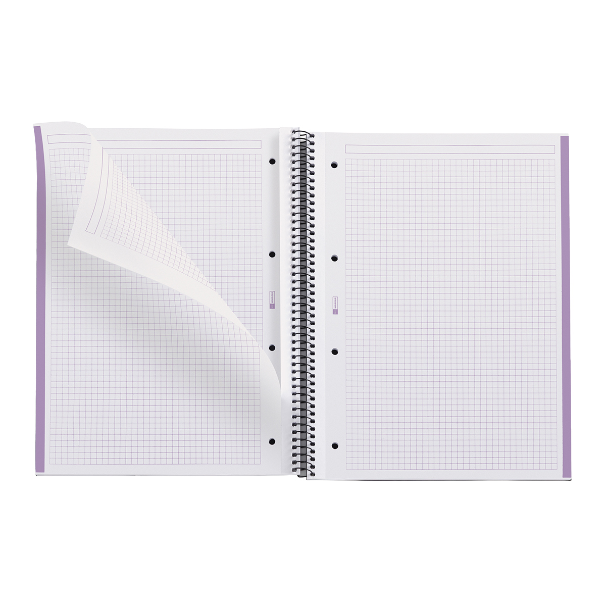 Bloc note A4 Eco Emotions Lavande - Quadrillé 5x5 - 80 feuilles - Cahiers et blocs notes-1