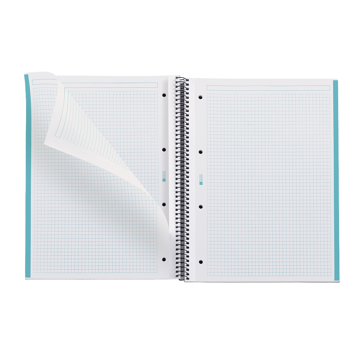 Bloc note Notebook A4 Eco Emotion 80F Quadrillé 5x5 - Bleu - Cahiers et blocs notes-1