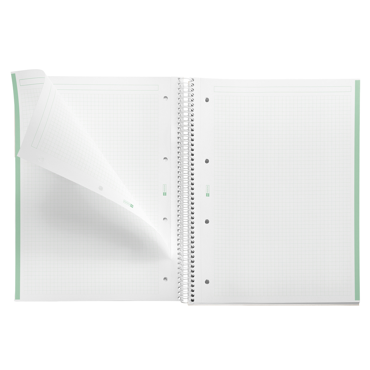 Bloc note Notebook A4 Emotion 80F Quadrillé 5x5 90g - Menthe - Cahiers et blocs notes-1