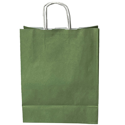Sacs kraft vert tilleul à poignées torsadées 19+8x23,5cm 90g/m² (x50) - Sacs kraft unis, poignées torsadées-1