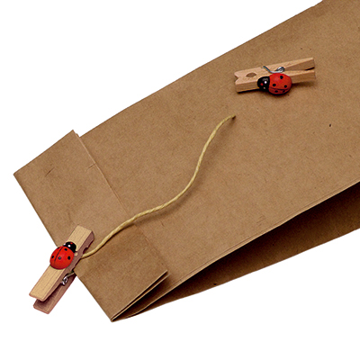 Pince bois naturel avec coccinelle 35 mm - Pince coccinelle en bois – Paquet de 48 - Pinces-1