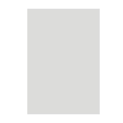 Plaque plastique pour stop-trottoirs - Transparent - 61,4 x 86,1 cm - Stop trottoir