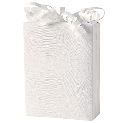 Papier cadeau texturé Lézard - Papiers cadeaux à effets-1