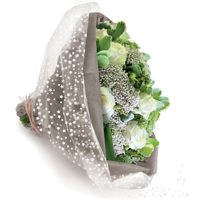 Film fleuriste - Film polypropylène Étoiles blanches 80 cm x 120 m 35 µ - Films polypropylène à motifs-2