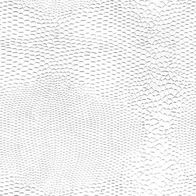 Papier cadeau texturé Lézard - Papiers cadeaux à effets