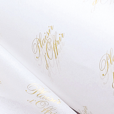 Papier de soie blanc imprimé or Plaisir d'offrir 18g/m² 50 x 75 cm, 120 feuilles - Papiers de soie-2