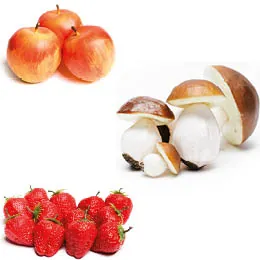 Aliments factices