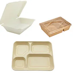 Boîtes repas jetables, Plateaux compartimentés