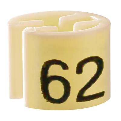 Marque taille T62 beige ø 1,3 cm - Indicateur de taille pour cintre - Paquet de 100 - Marques taille pour cintres