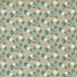 Papier cadeau kraft brun/vert/blanc Eucalyptus 70 cm x 50 m 60g/m² - Papiers cadeaux kraft à motifs