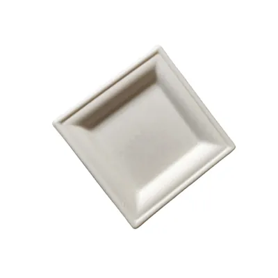 Assiette jetable carrée en fibre végétale biodégradable 15,5 x 15,5 x 1,47 cm - Blanc - Lot de 50 - Assiettes jetables, Assiettes plastique réutilisables
