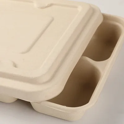 Couvercle pour plateau repas 28 x 21 x 2,5 cm fibre végétale  - Lot de 25 - Boîtes repas jetables, Plateaux compartimentés-2