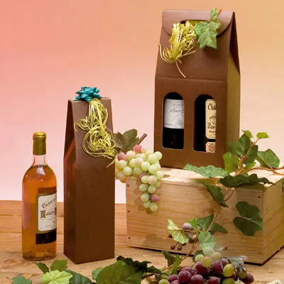 Boîtages 2 bouteilles carton - Coffrets pour bouteilles de vin, Boîtes pour bouteilles de vin-2