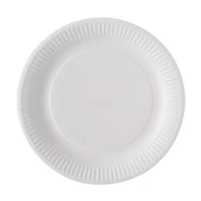Assiette carton ronde ø 23 cm - Assiette jetable - Blanc - Lot de 100 - Assiettes jetables, Assiettes plastique réutilisables